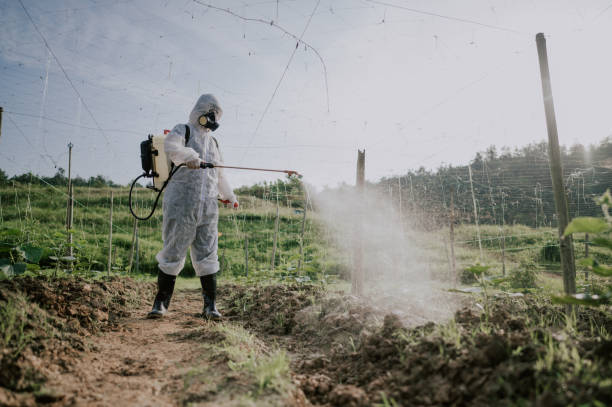 Best Mosquito Control Services  in Grand Ronde, OR