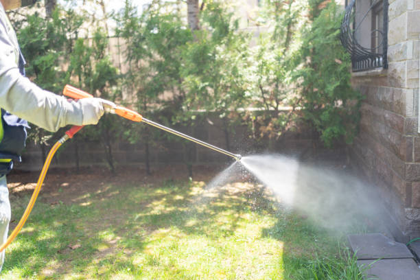 Best Termite Control Services  in Grand Ronde, OR
