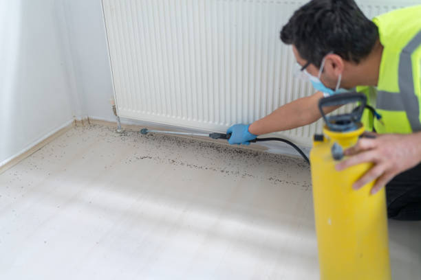 Best Termite Control Services  in Grand Ronde, OR